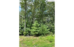 Lot 17 Sunset Ridge Drive, Boone, NC 28607