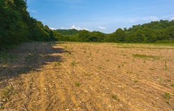 14460 Warrensburg Road, Midway, TN 37809