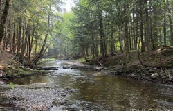 Black Creek Road, Skanee, MI 49962
