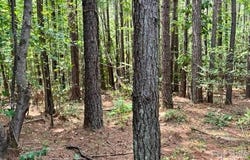 100 Shortoff Trail NW, Valdese, NC 28690