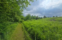 204 Valley View Dr, Smyrna, NY 13464