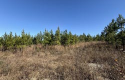 Tanner Road, Marianna, FL 32448