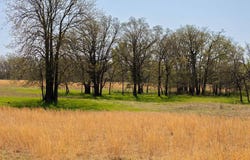 001 Cemetary Drive, Oktaha, OK 74450
