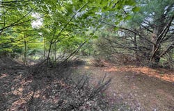 Lot #1 E Bellinger Road, Cedar, MI 49621
