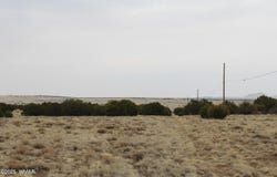 21 & 23 CR 8004, Concho, AZ 85924