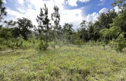 Vacant *Lot 58* NE Blackjack Loop unit: 1, Lee, FL 32059