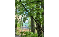 2331 Hollonville Road, Brooks, GA 30205