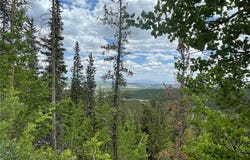 847 COUNTY ROAD 787, Alma, CO 80420