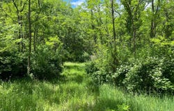 Lake Mills Road, Cairo, NY 12413