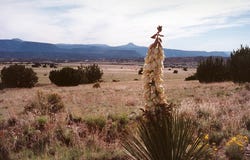 14 Blackfoot Trail, Abiquiu, NM 87510