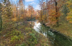 210 Singleton School Road, Eubank, KY 42567