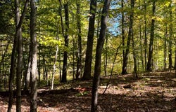 1.5 Wart Rd., Orwell, NY 13426