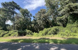 11.7 Slicklizzard Road, Nauvoo, AL 35578