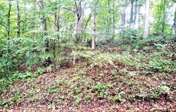 LOTS 126-127 CODJUS DR, RISING SUN, MD 21911