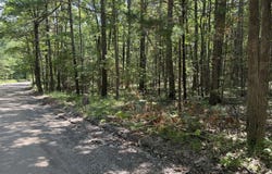 6287 Waubun Road, Indian River, MI 49749