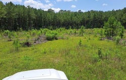 0 0 Us 49 Highway, Mendenhall, MS 39114