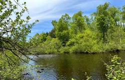 1.7 Manley Taylor Rd Ext., Florence, NY 13316