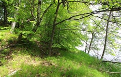 Xxb Sprandel Road, Finlayson, MN 55735