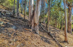 0 0 Ascot Drive, Oakland, CA 94611