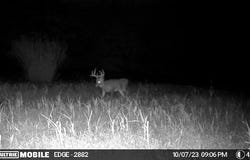 3745 Jackson Road, Blanchard, MI 49310