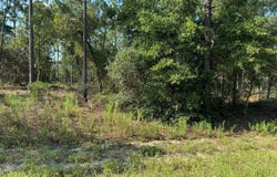 Dunnellon, FL 34431