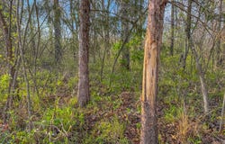 0 Highway 33, Drumright, OK 74030