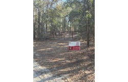 Starfish Lane, Lyons, GA 30436