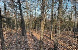 Buck Ridge Lane, Williford, AR 72482