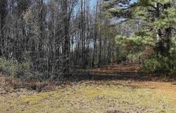 478 Mose Chapel Road, Madison, AL 35758