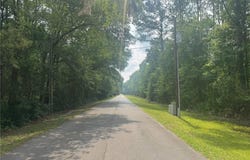 0 Manchester Road SE, Townsend, GA 31331