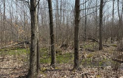 00 Townline Rd, Linesville, PA 16424