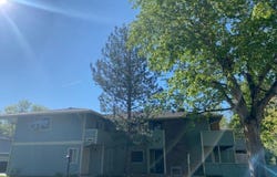 1117 Elysian Field Dr, Lafayette, CO 80026