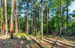 9735 E Acorn Drive, Gordon, WI 54838