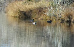 2572 Wetlands Drive, Sheridan, WY 82801