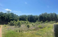 53 B Pilgrim Rest Road, Greenbrier, AR 72058