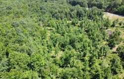 246 BURGESS, Bonnerdale, AR 71933