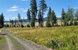 Hwy 95 Lot 6, Plummer, ID 83851