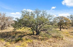 350 Yellowstone Drive, Oglesby, TX 76561