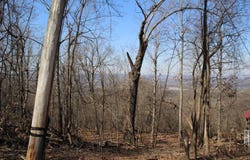 332 Longway Drive, Yellville, AR 72687
