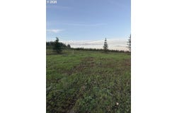 216 Suncrest Dr, CastleRock, WA 98611