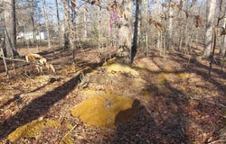 7060 ANNAPOLIS WOODS Road, LA PLATA, MD 20646