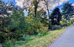 WHITE OAK DR E, RAWLINGS, MD 21557