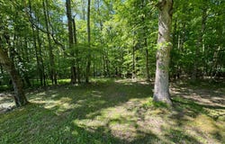 209 Basketweave Lane, Buckhannon, WV 26201