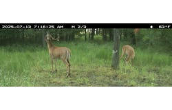 STATE HIGHWAY 153 EAST, BEVENT, WI 54440