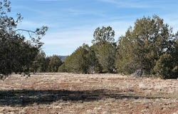 00-D N Dunbar Boulevard, Ash Fork, AZ 86320
