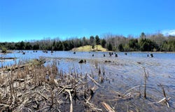 Off River Edge Drive, Cheboygan, MI 49721