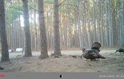 Powell Chapel Rd, Holly Springs, MS 38635
