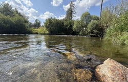 2406 E Colbert Rd, Colbert, WA 99005