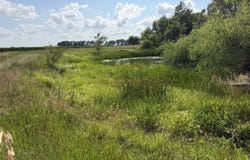 1815 COUNTY RD 18, Fremont, NE 68025
