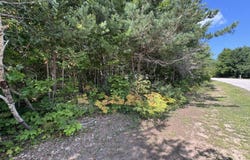 Daisys Way, Kinross, MI 49752